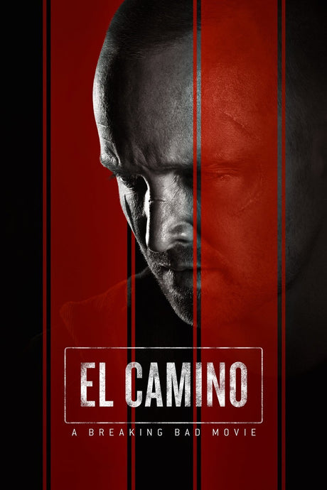 El Camino: A Breaking Bad Movie Uses Timelapse+ VIEW